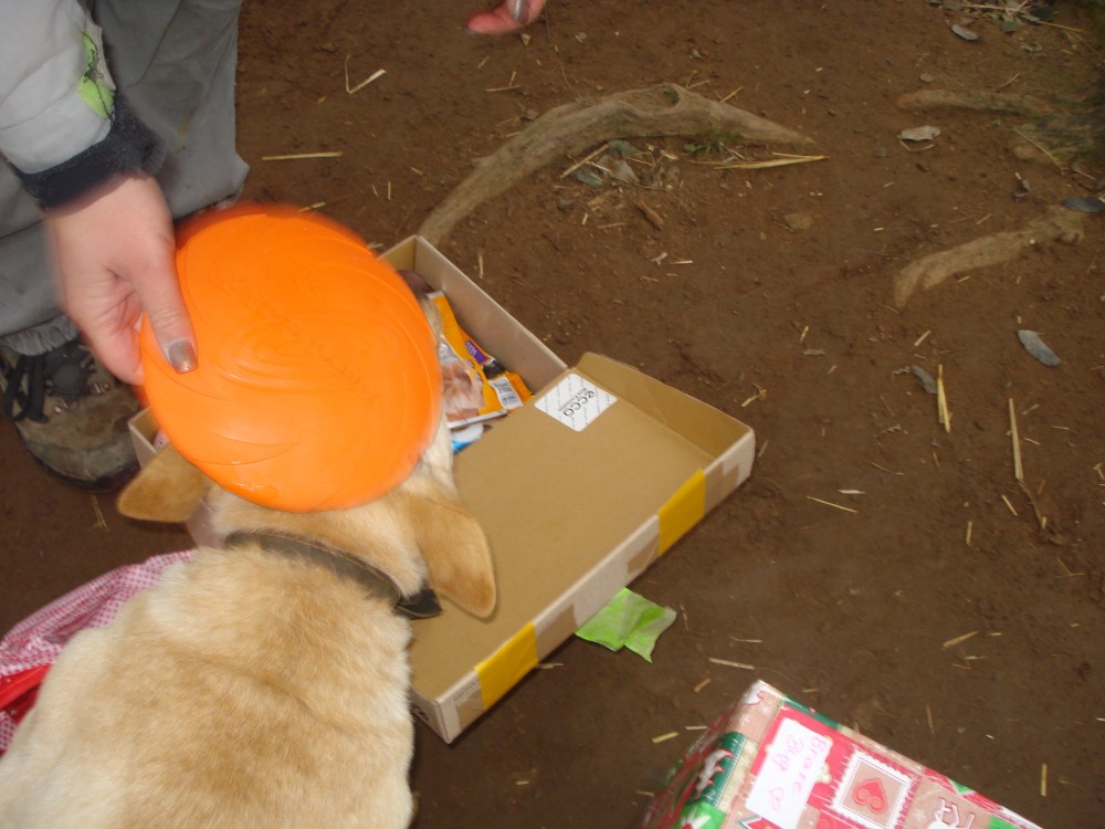 dsc05936.jpg