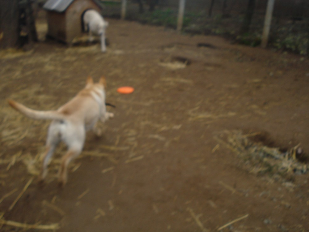 dsc05938.jpg