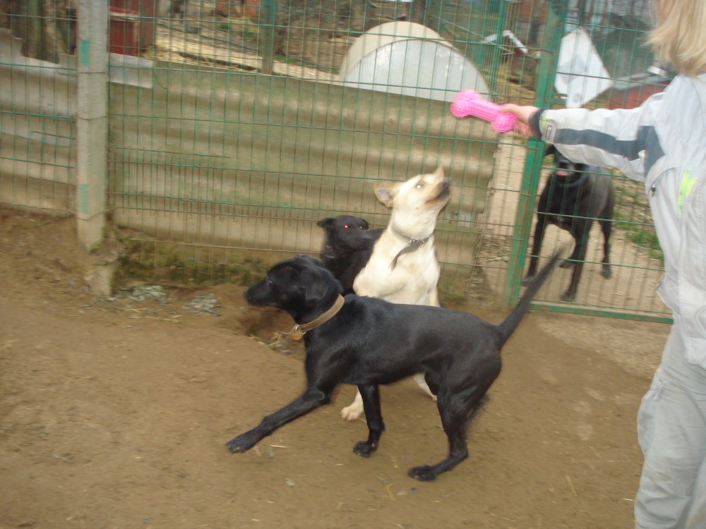 dsc05958.jpg