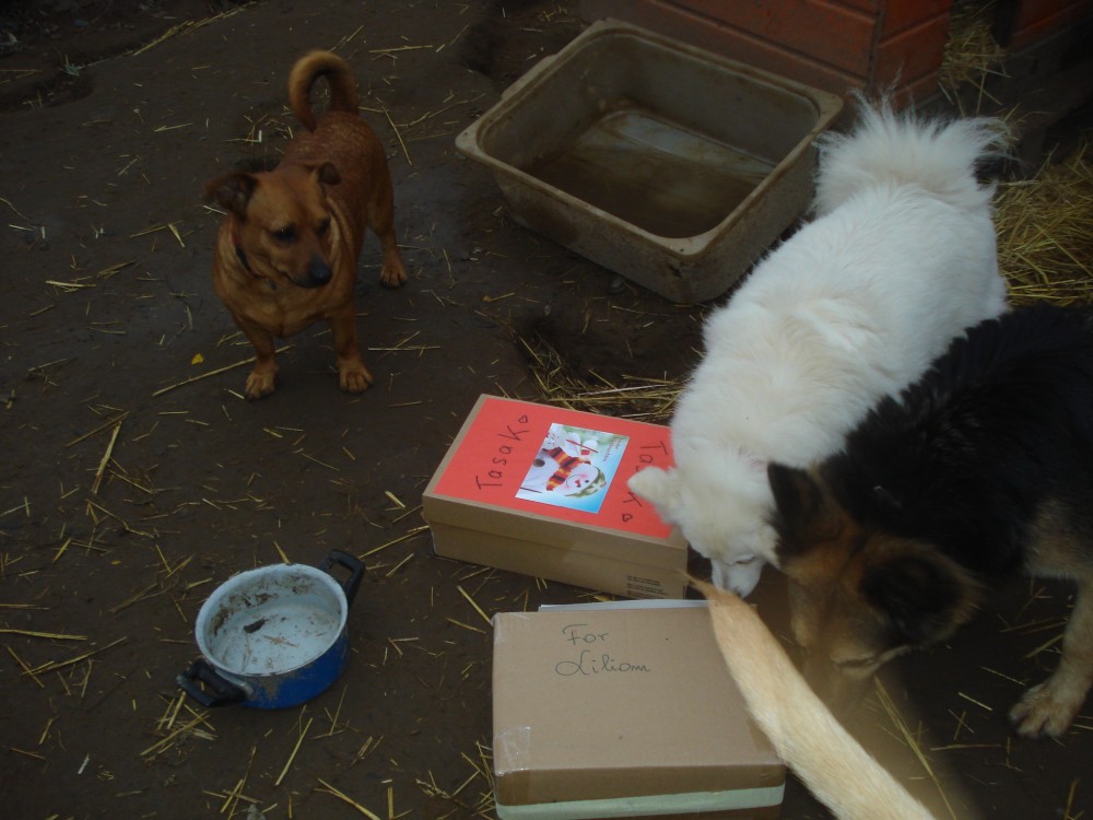 dsc05964.jpg