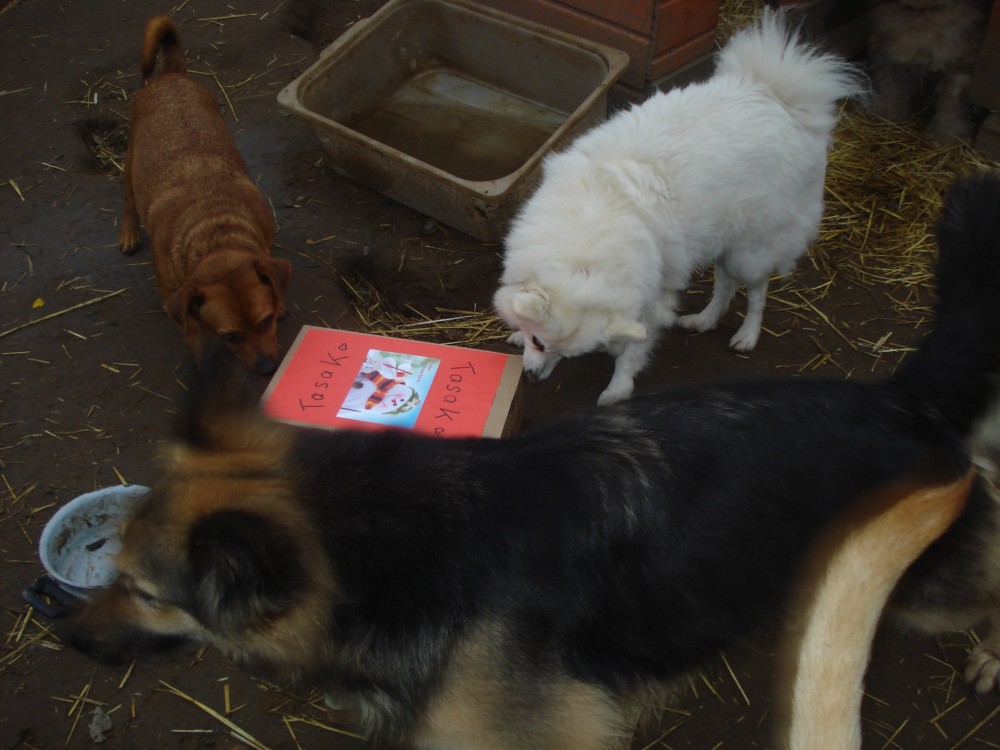 dsc05965.jpg