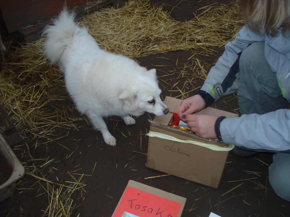 dsc05979.jpg