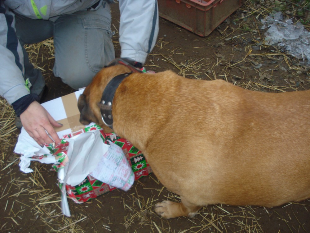 dsc06036.jpg
