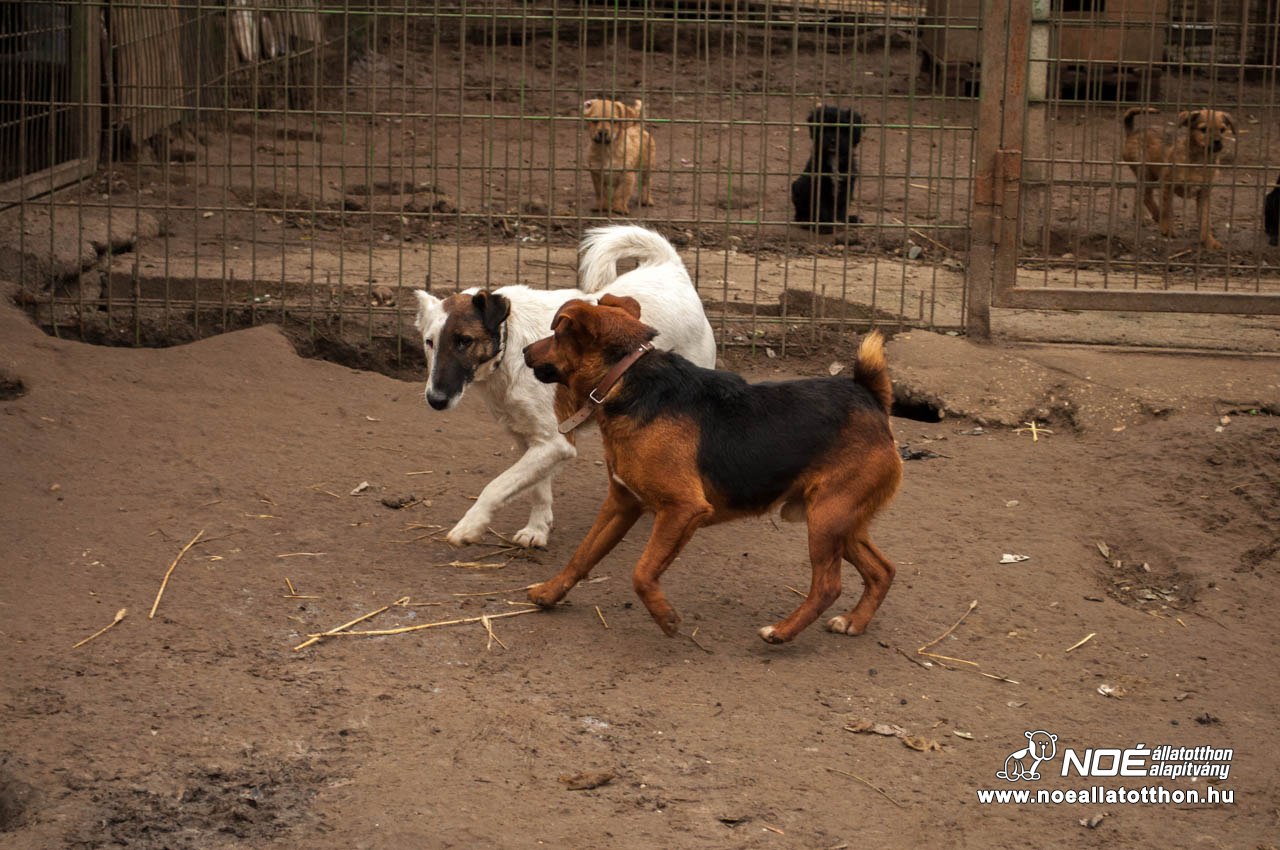 dsc_00472.jpg