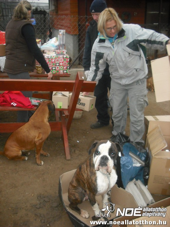 dscf0864.jpg