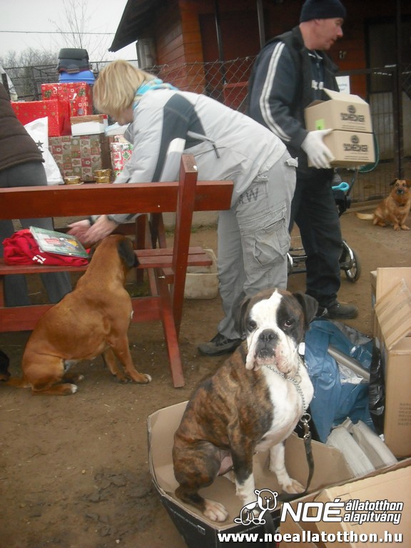 dscf0865.jpg
