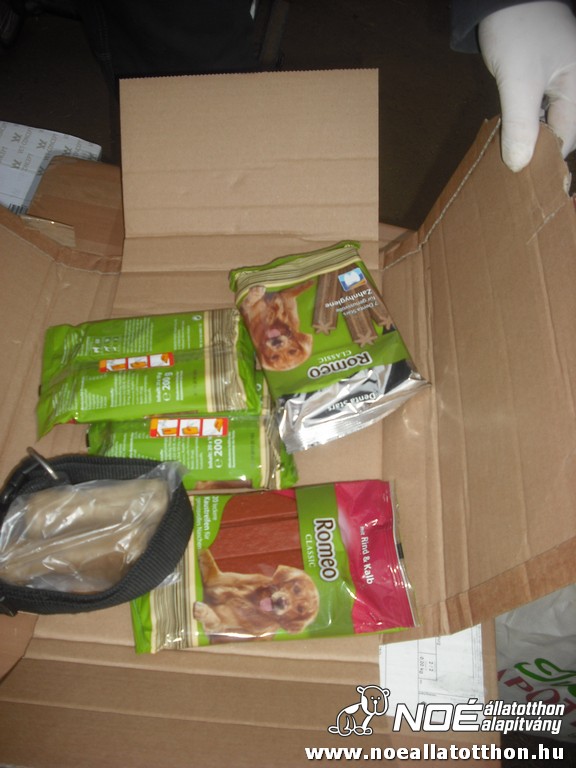dscf0913.jpg