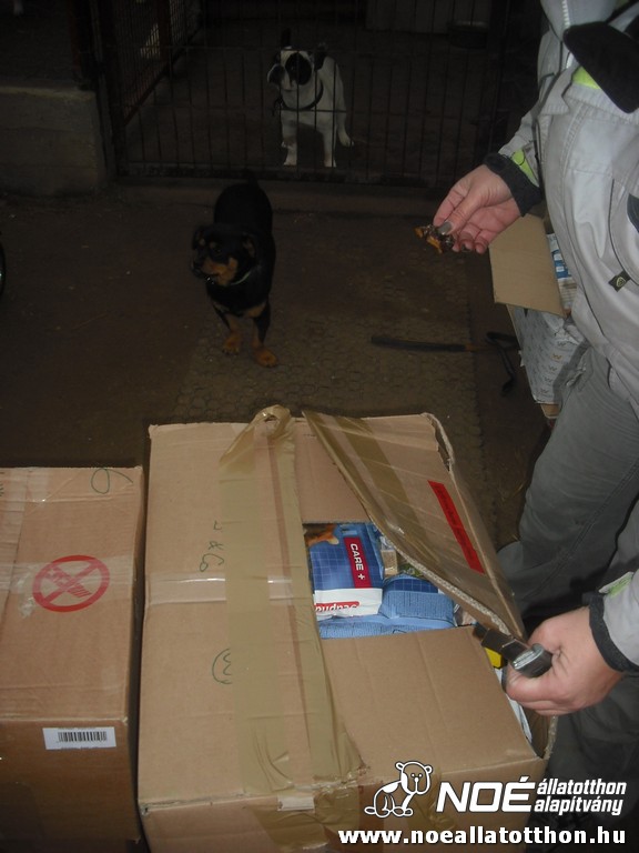 dscf0991.jpg