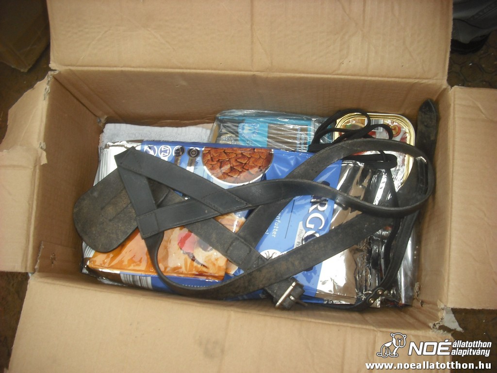 dscf1002.jpg