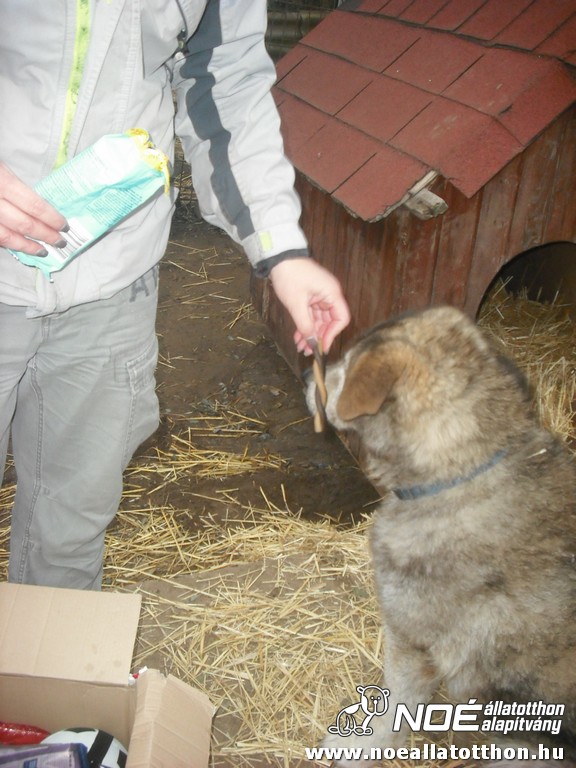 dscf1016.jpg