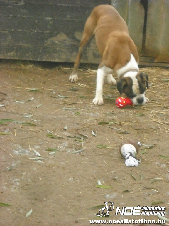dscf1140.jpg