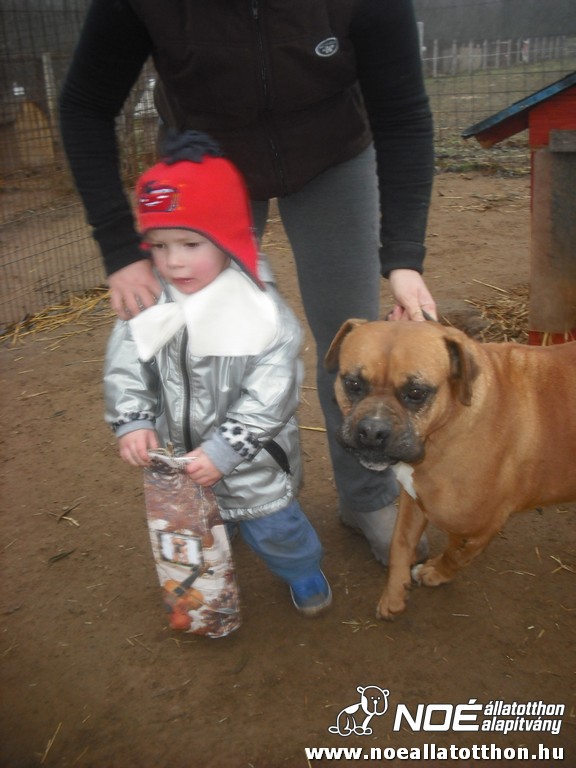 dscf1144.jpg