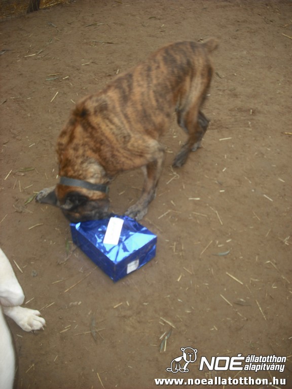 dscf1149.jpg