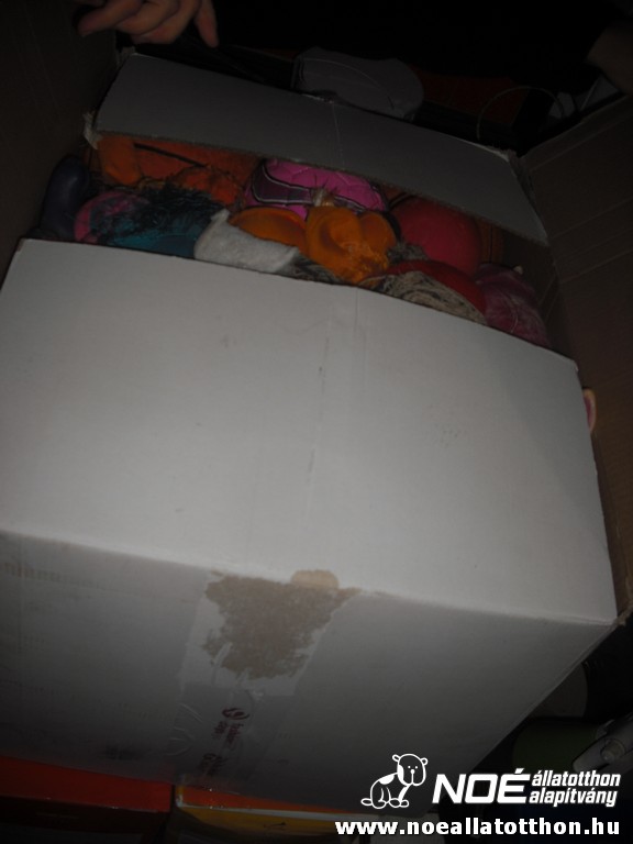 dscf1198.jpg