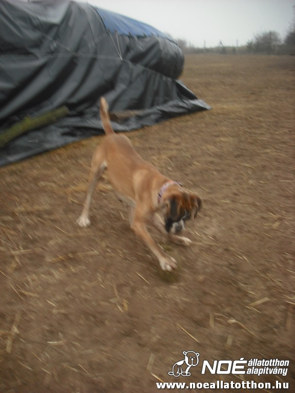 dscf1205.jpg