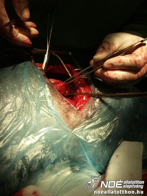 dscf6863.jpg