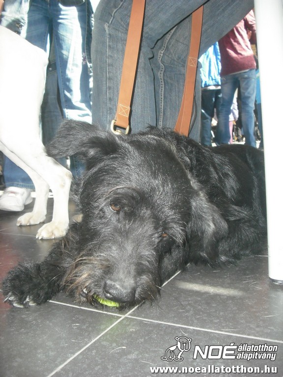 dscf7936.jpg