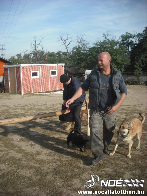 dscf8022.jpg