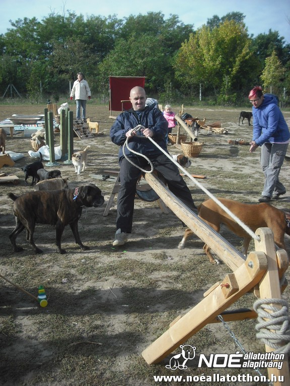 dscf8031.jpg
