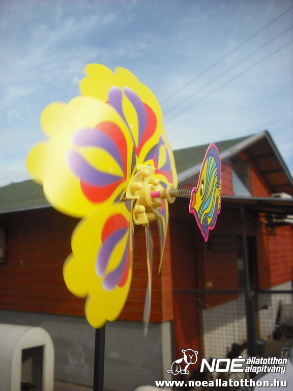 dscf8048.jpg