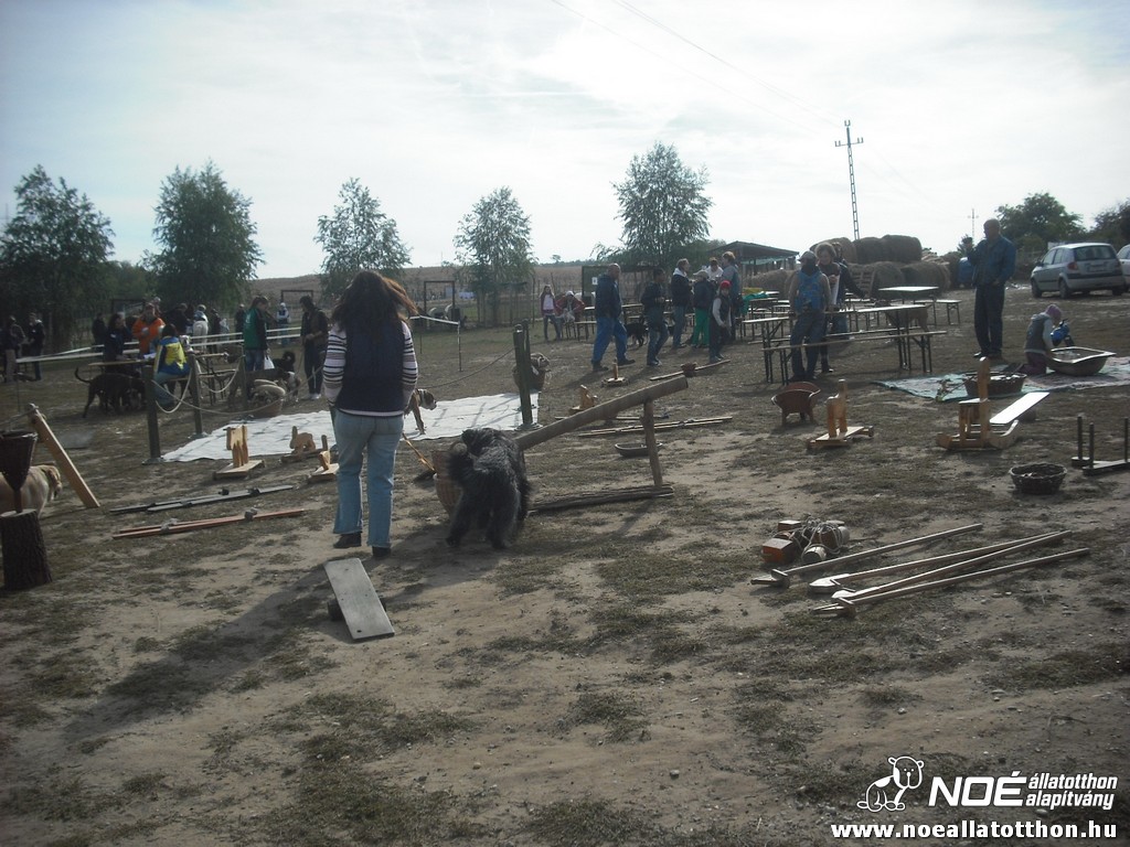 dscf8055.jpg