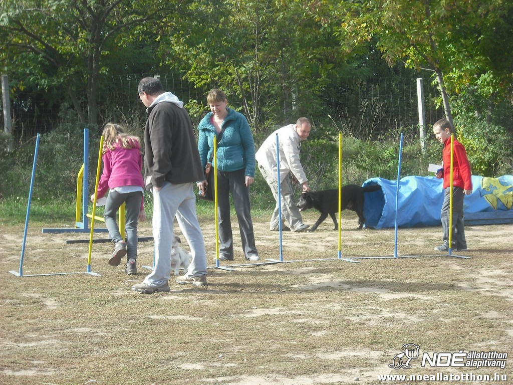 dscf8087.jpg