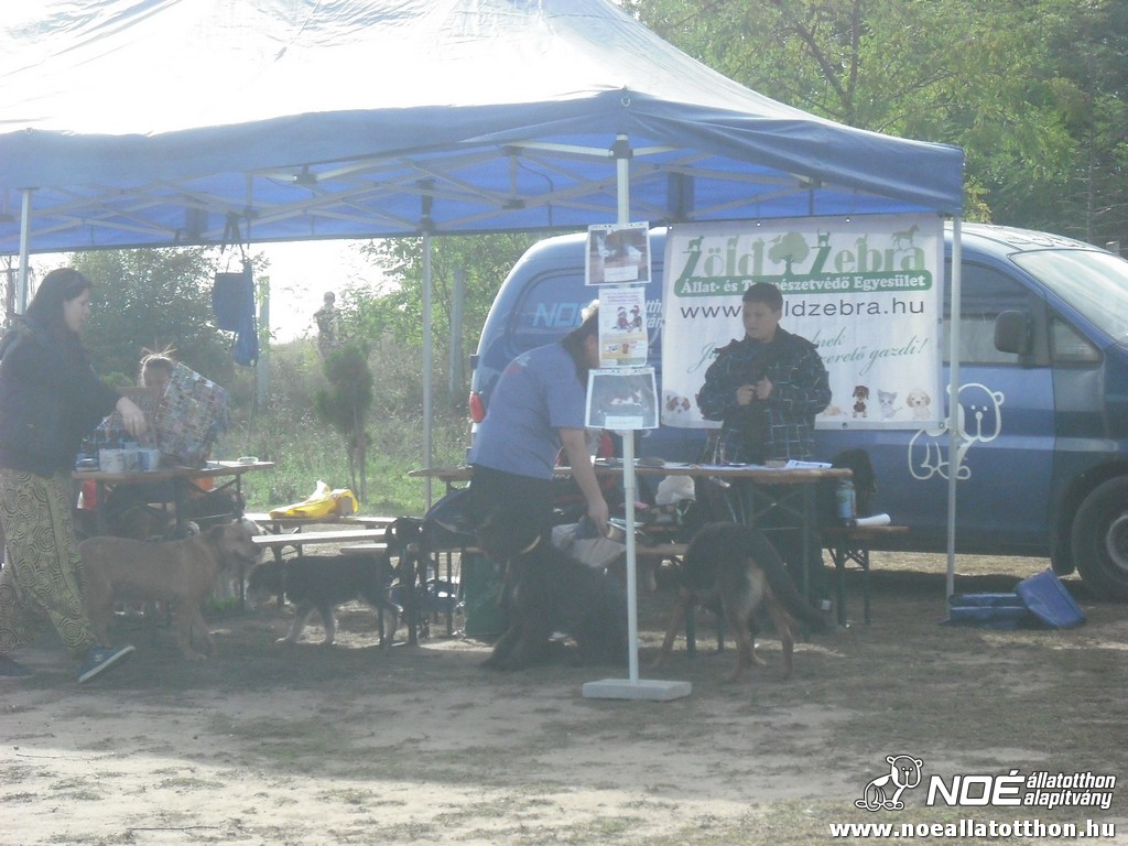 dscf8088.jpg