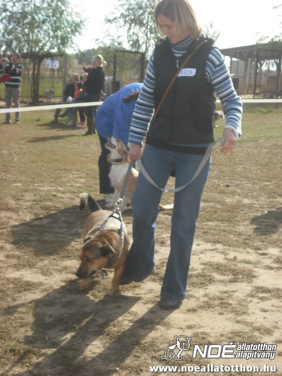 dscf8135.jpg