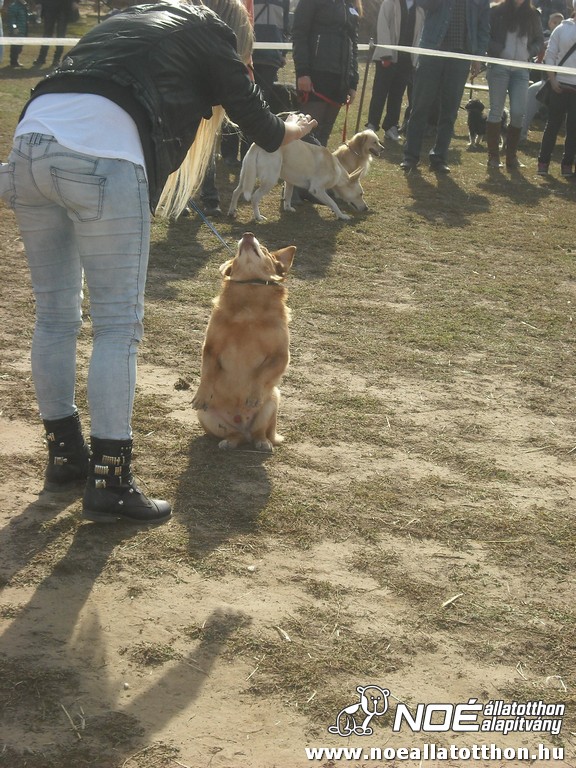 dscf8140.jpg