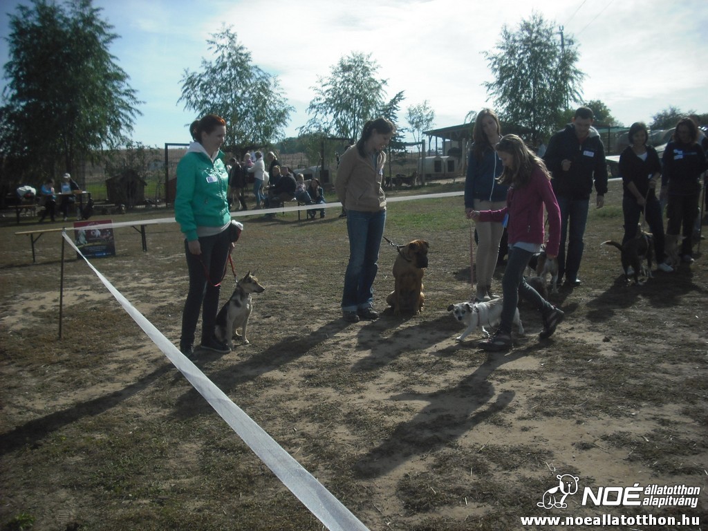 dscf8153.jpg