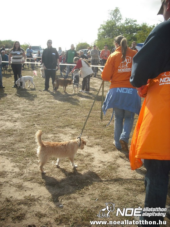 dscf8156.jpg