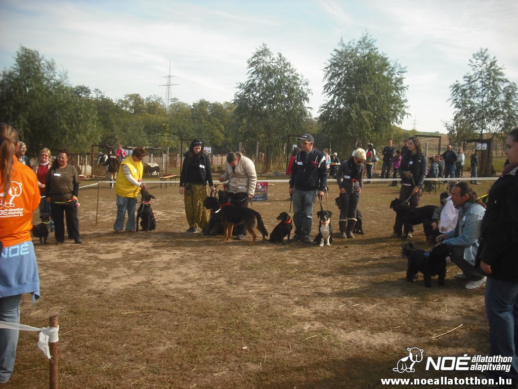 dscf8163.jpg