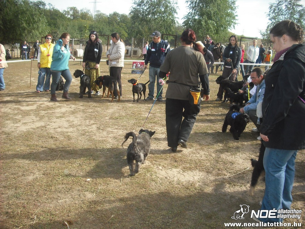 dscf8164.jpg