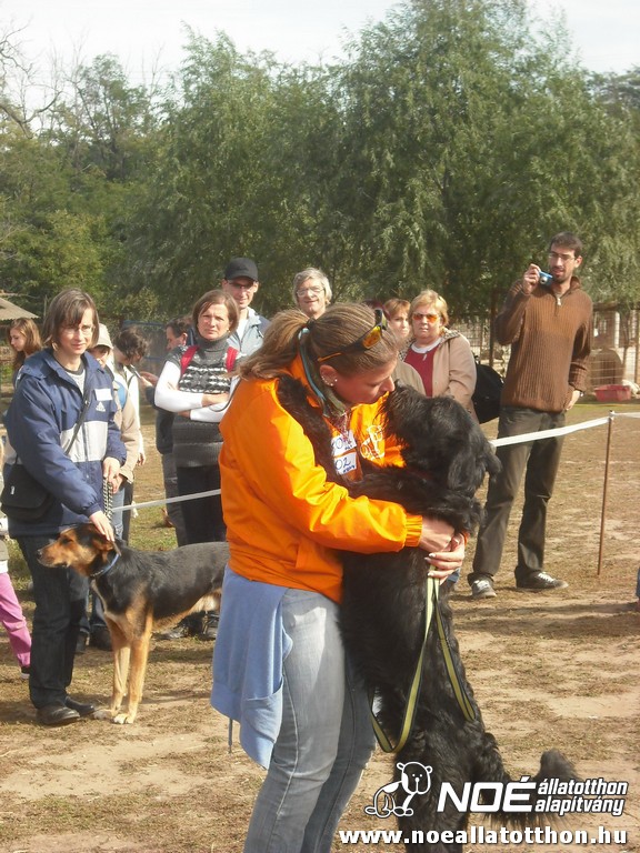 dscf8169.jpg