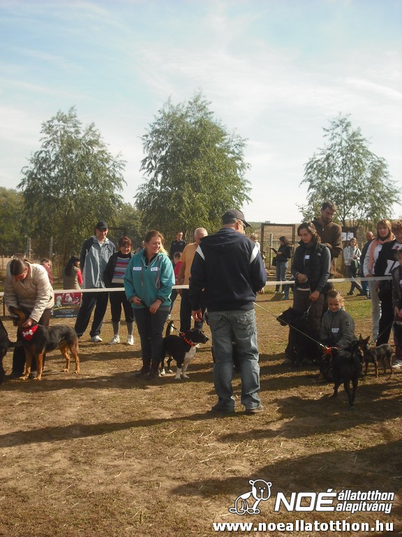 dscf8174.jpg