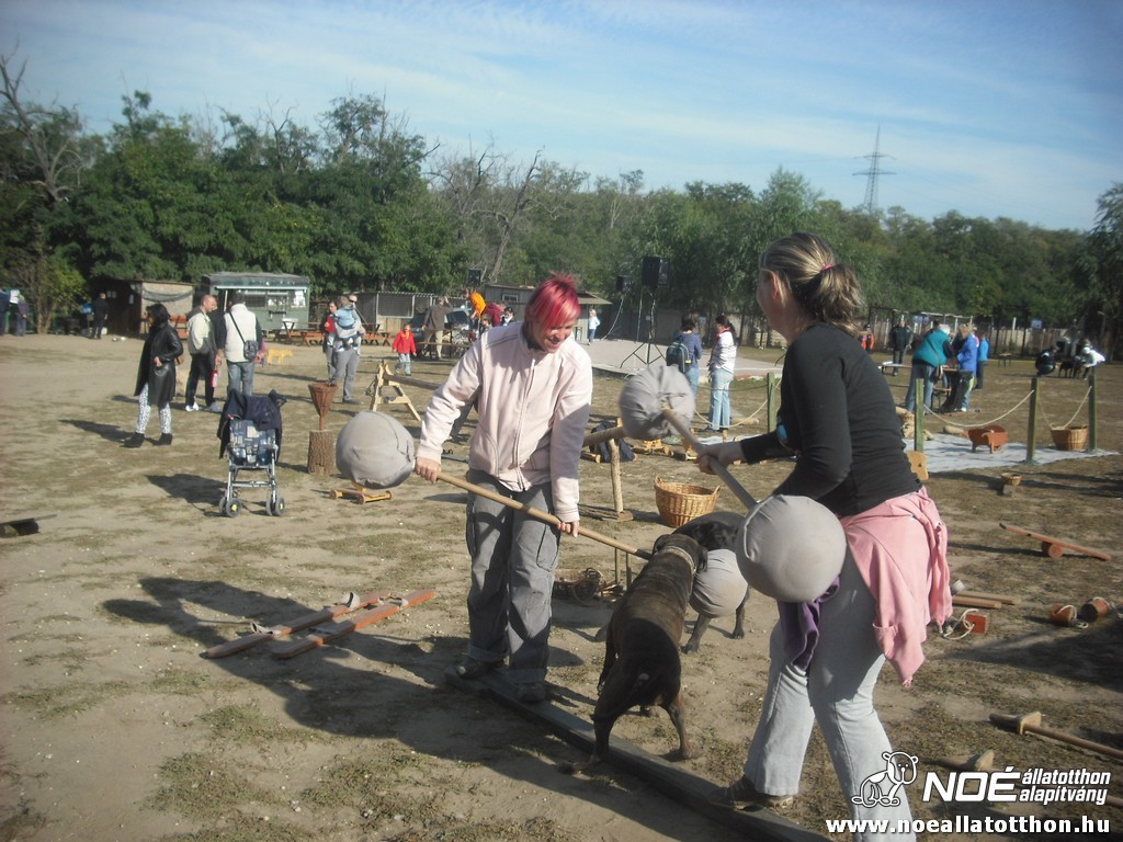 dscf8217.jpg