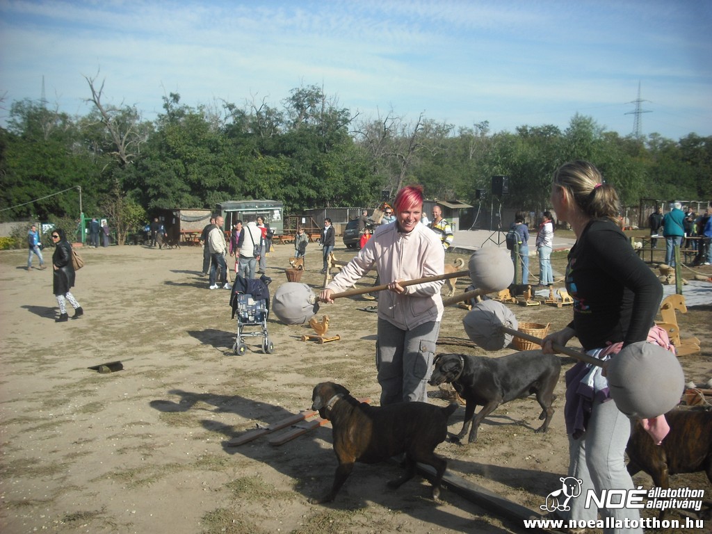 dscf8218.jpg