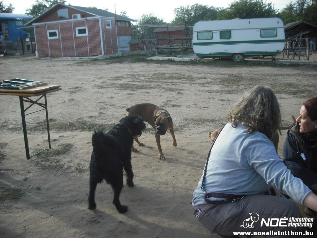 dscf8244.jpg