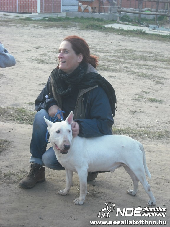 dscf8245.jpg