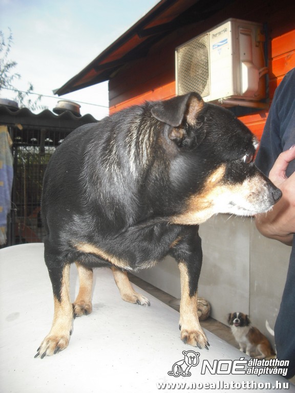 dscf8465.jpg