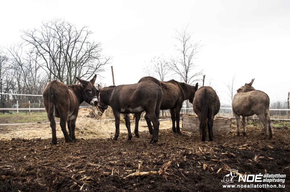 galriakp20140116_27.jpg