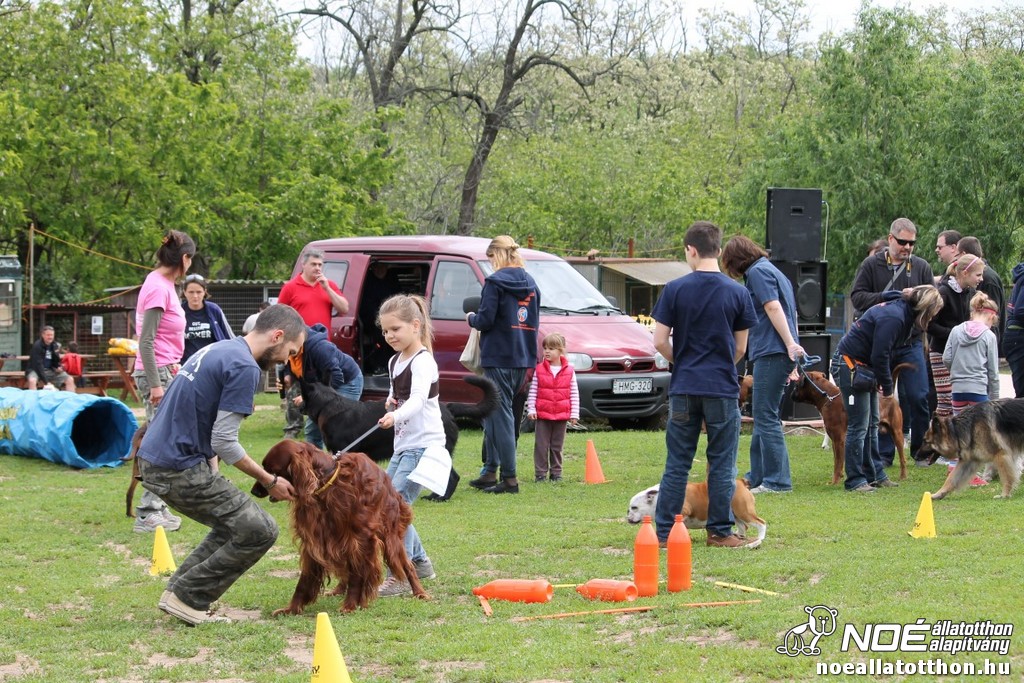 img_9199_medium.jpg