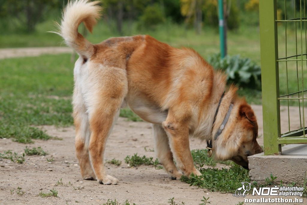 img_9246_medium.jpg