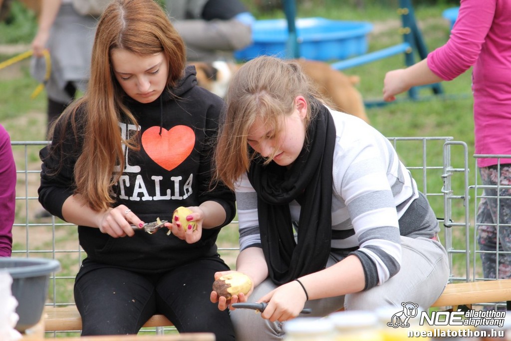 img_9282_medium.jpg