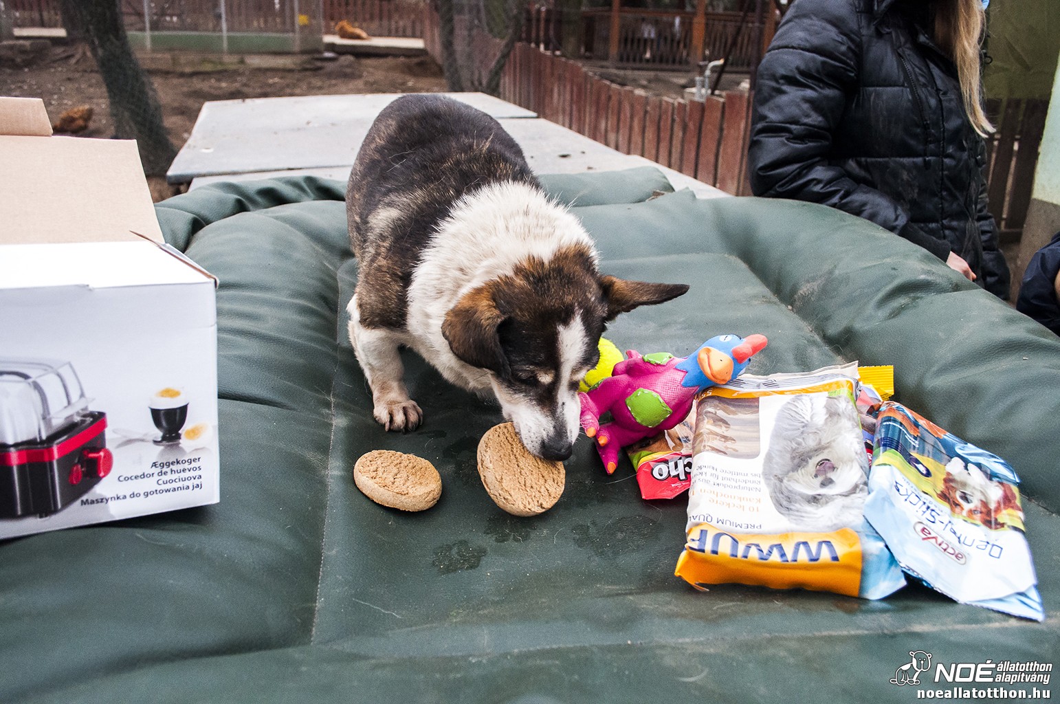 nmetekajndka131215_20.jpg