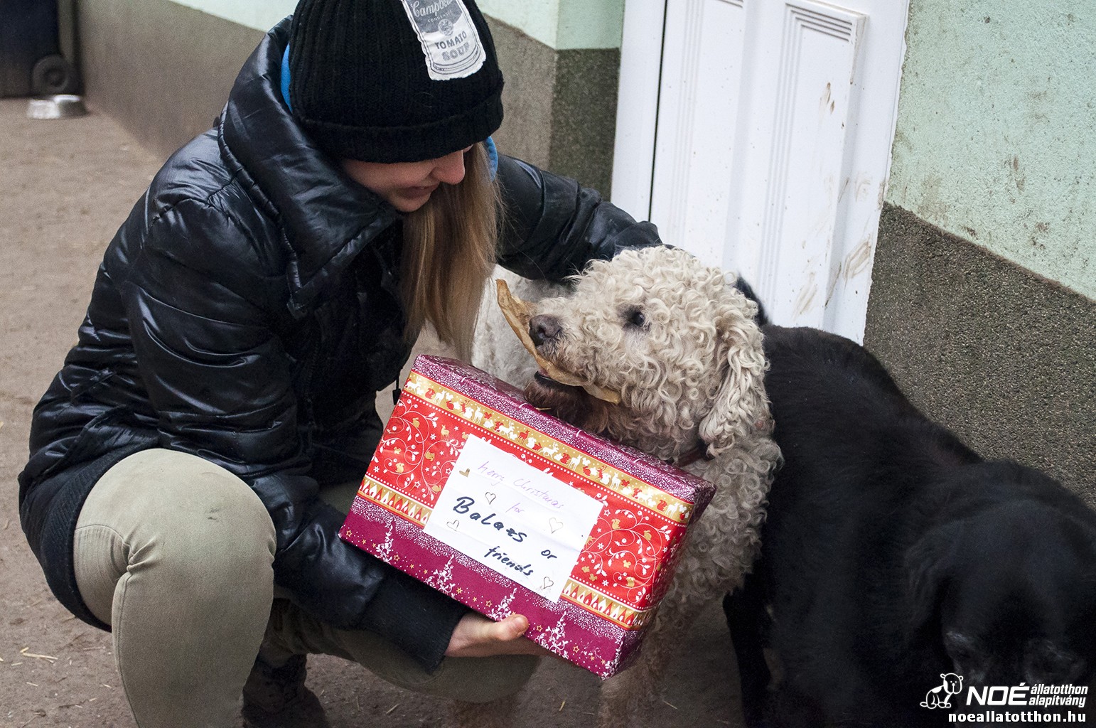 nmetekajndka131215_28.jpg
