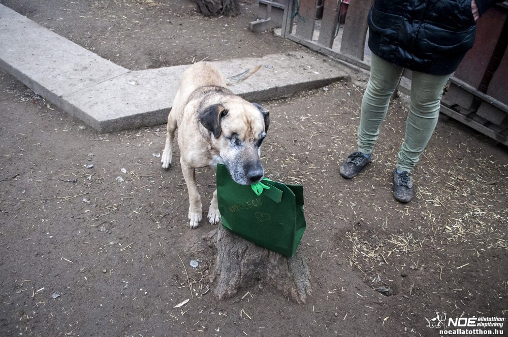nmetekajndka131215_32.jpg