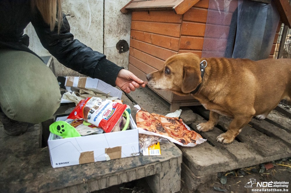 nmetekajndka131215_41.jpg