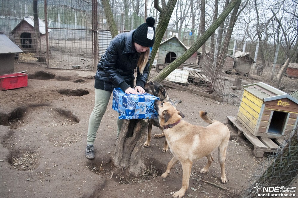 nmetekajndka131215_46.jpg