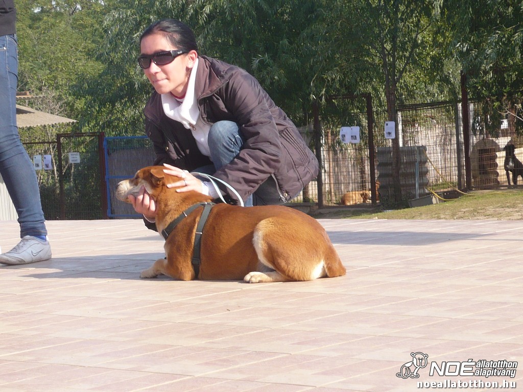 p1140414.jpg